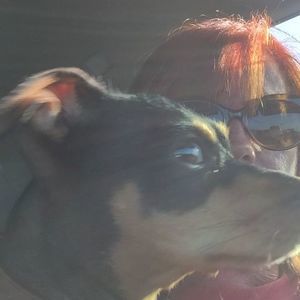 Meet your Posher, Sharon